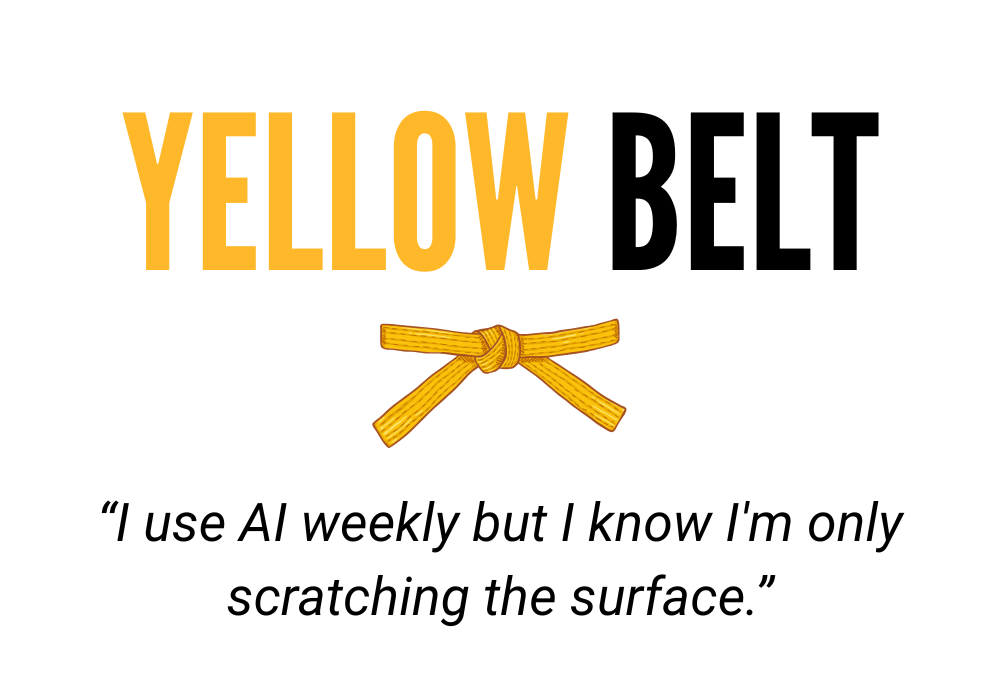 Yellow Belt